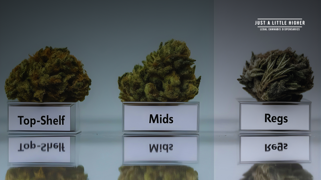 Good Weed vs Bad Weed: What Does Reggie, Mid, and Loud Weed Look Like?