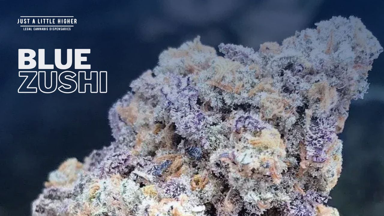Blue Zushi: Lab tests show up to 28% THC!