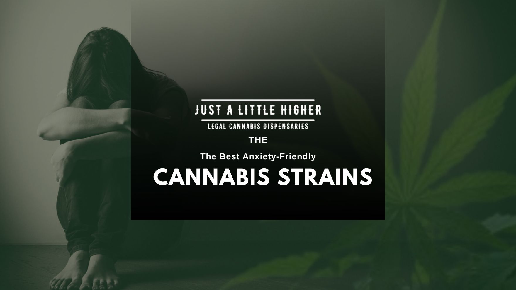 The Best Anxiety-Friendly Cannabis Strains